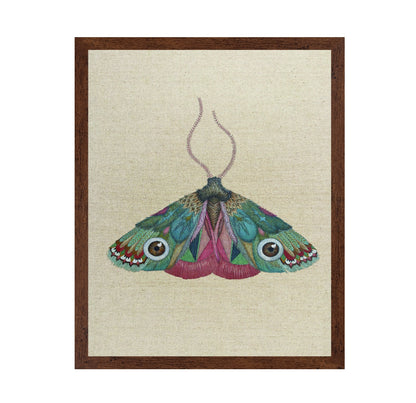 Jewel Eye Moth