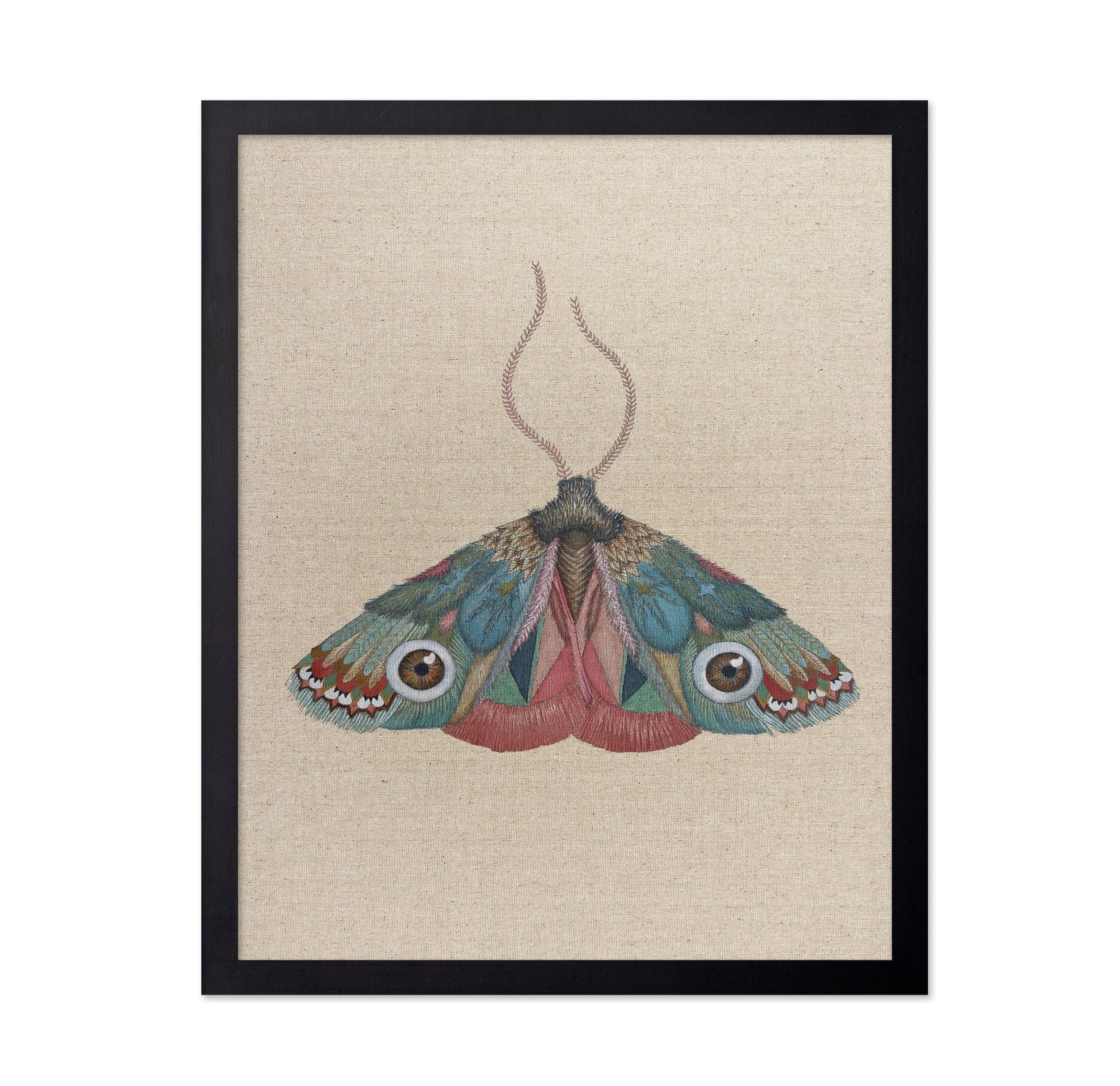 Jewel Eye Moth