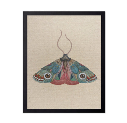Jewel Eye Moth