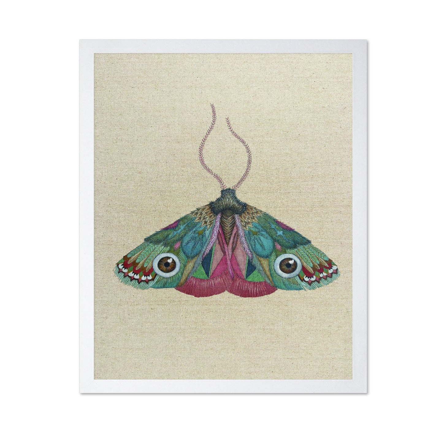 Jewel Eye Moth