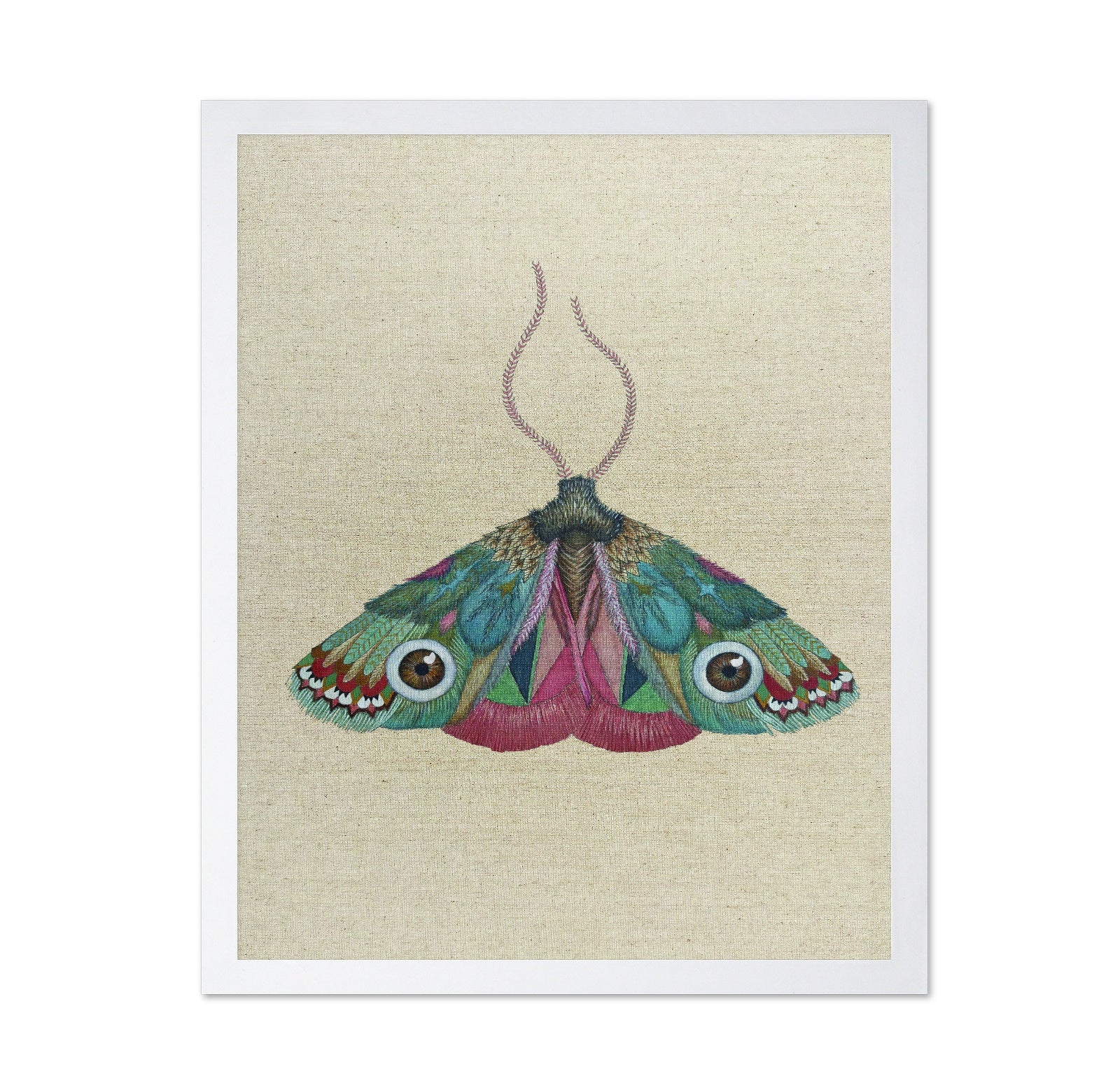 Jewel Eye Moth