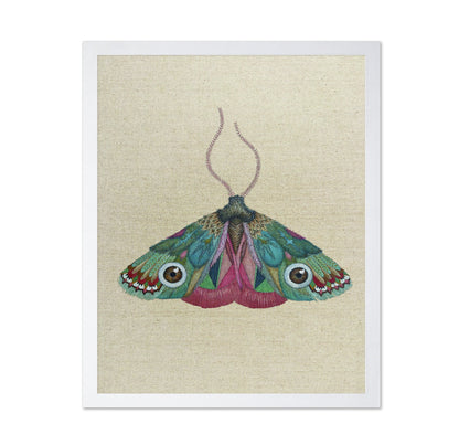 Jewel Eye Moth