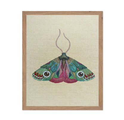 Jewel Eye Moth