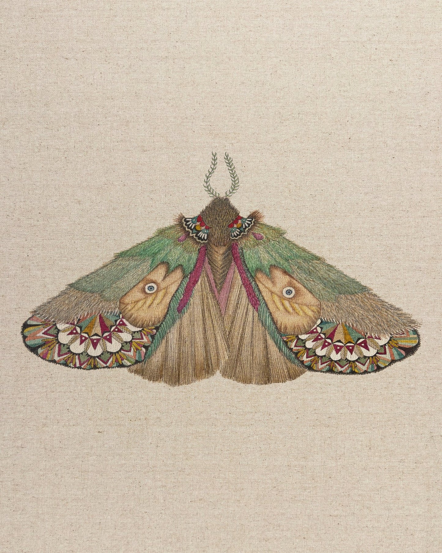 Twin Face Moth
