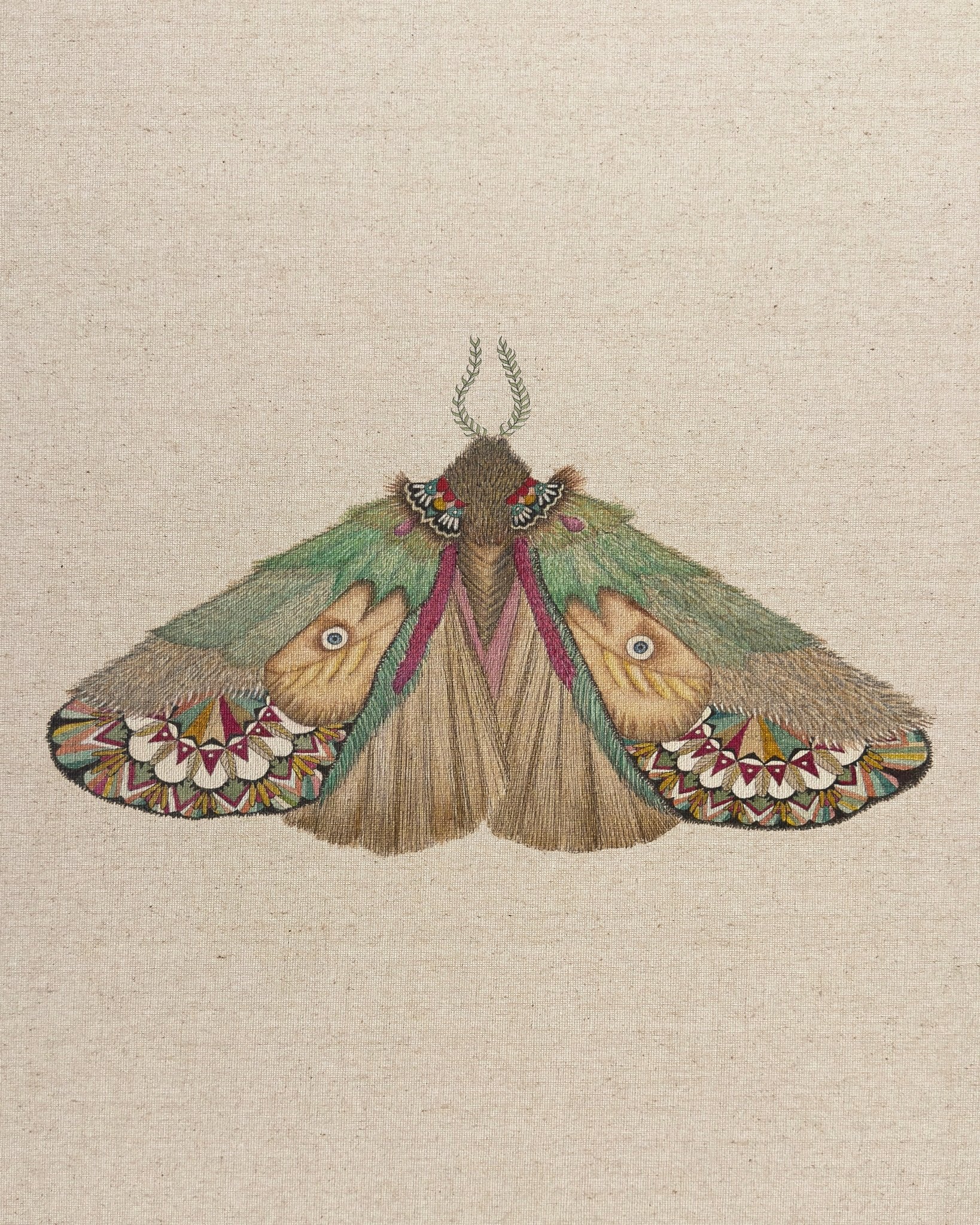 Twin Face Moth