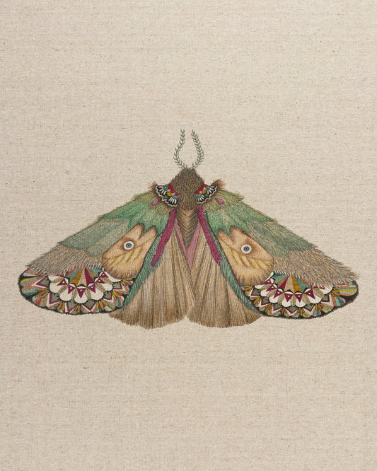 Twin Face Moth