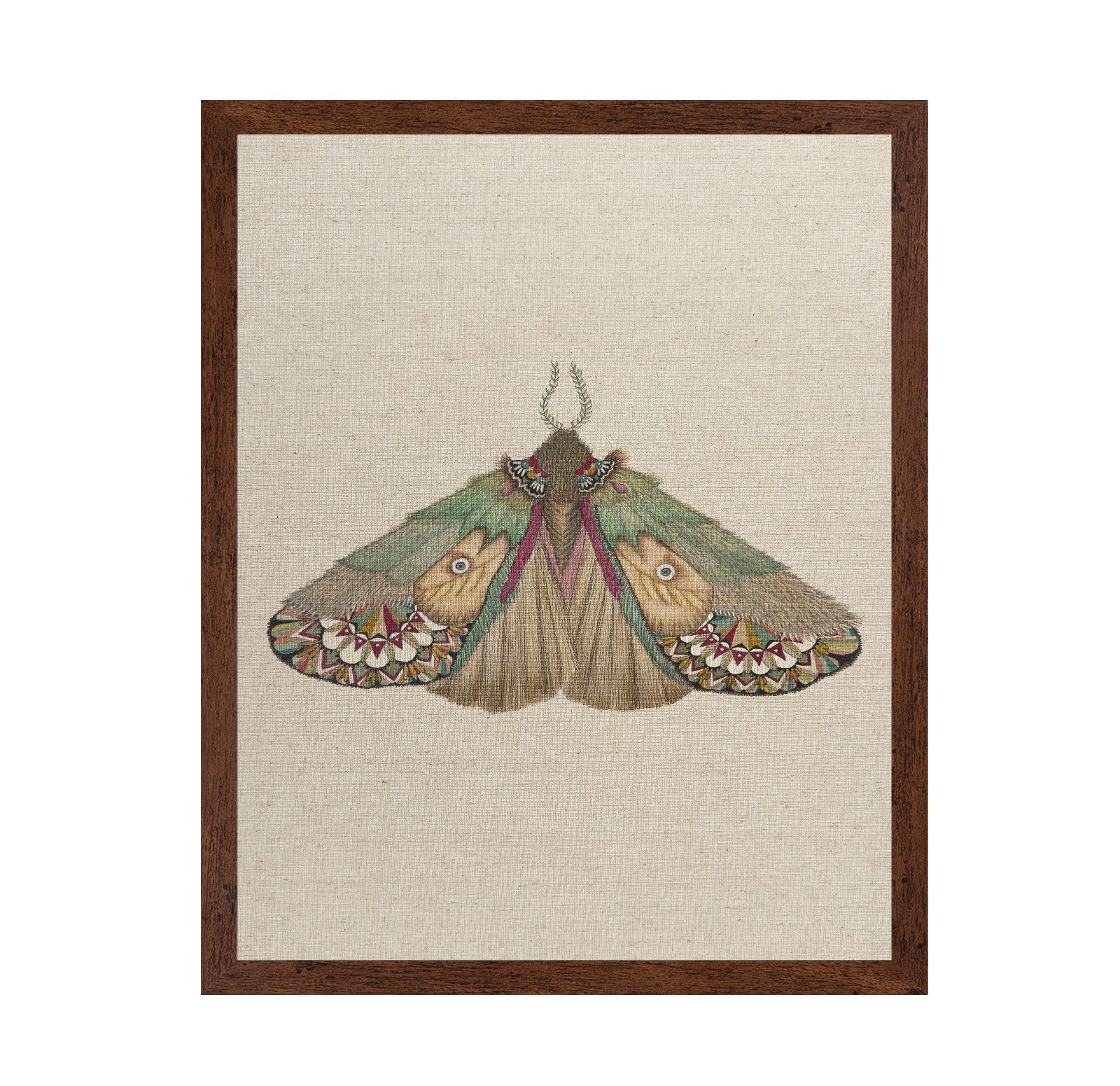 Twin Face Moth