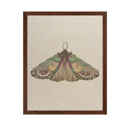 Twin Face Moth