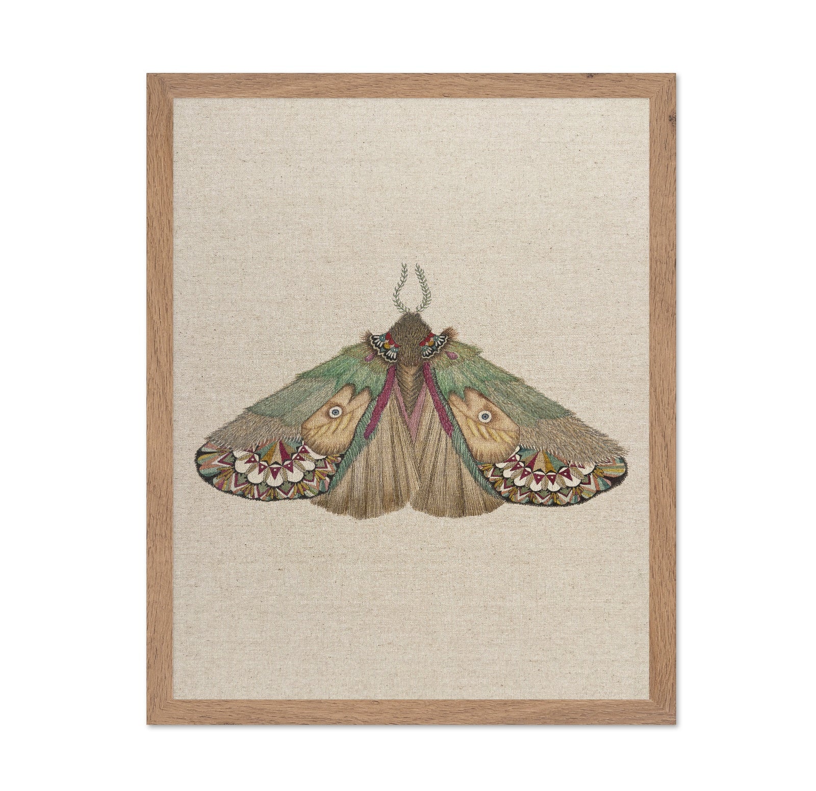 Twin Face Moth