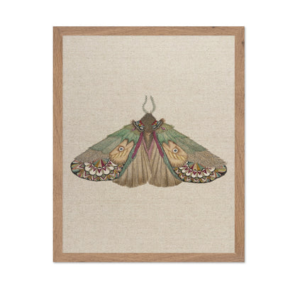 Twin Face Moth