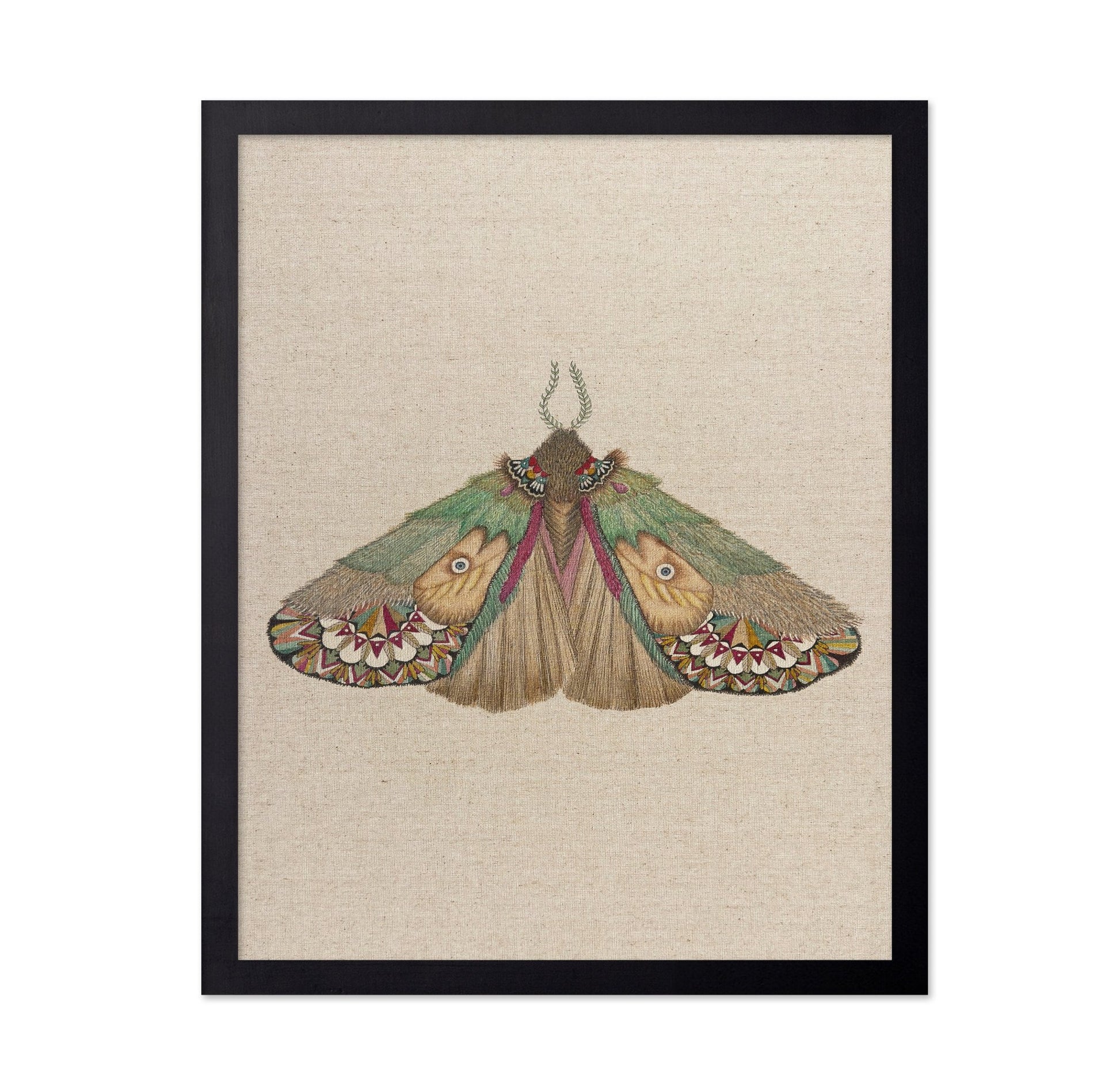 Twin Face Moth