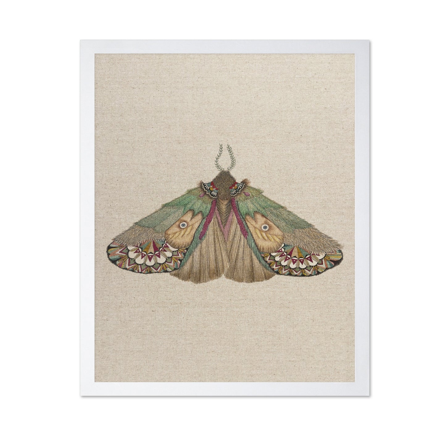 Twin Face Moth