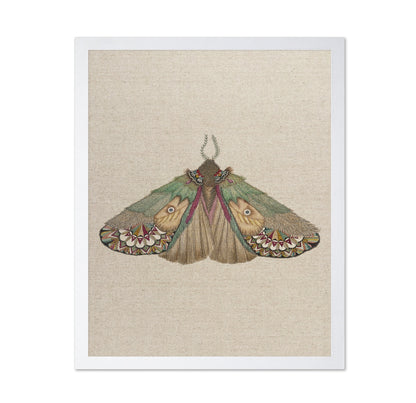 Twin Face Moth