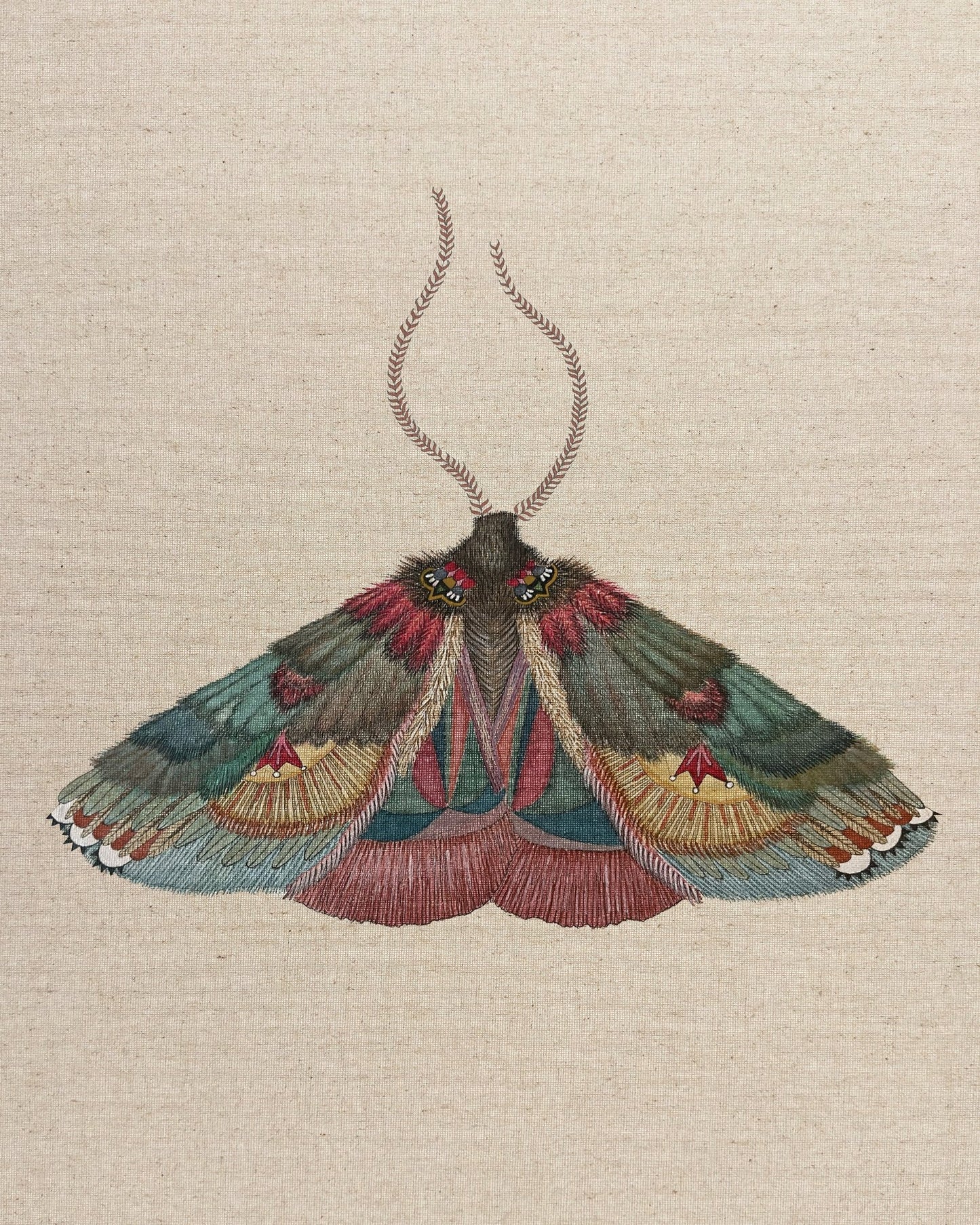 Crimson Wing Moth