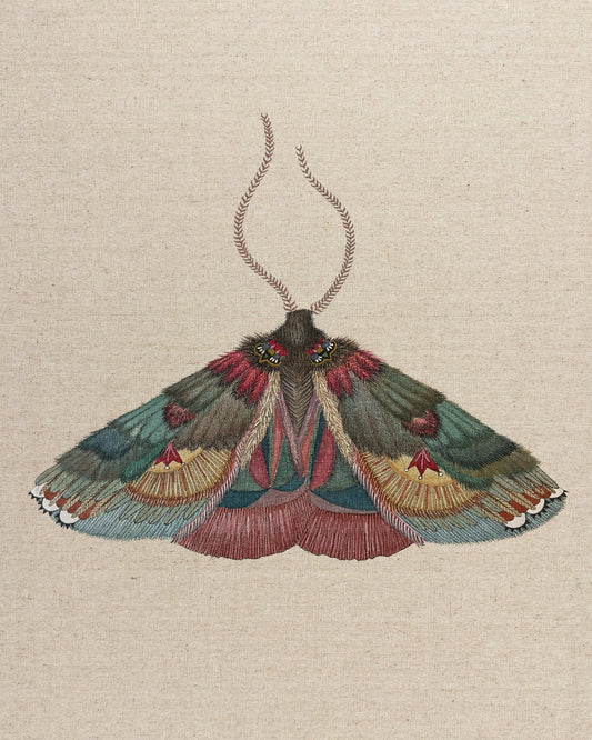 Crimson Wing Moth