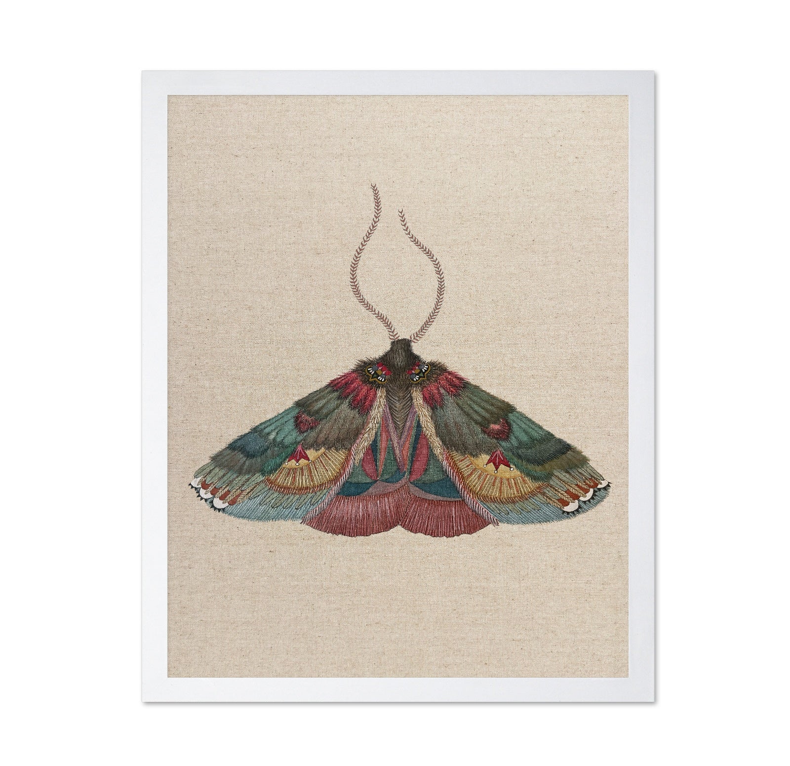 Crimson Wing Moth