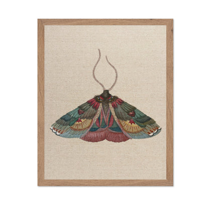 Crimson Wing Moth