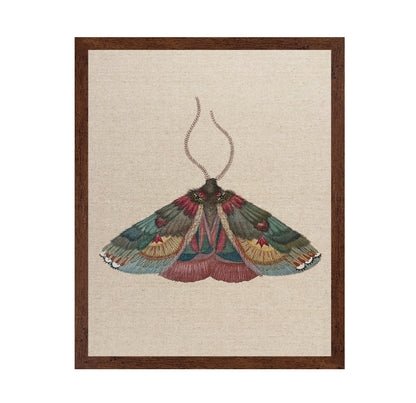 Crimson Wing Moth