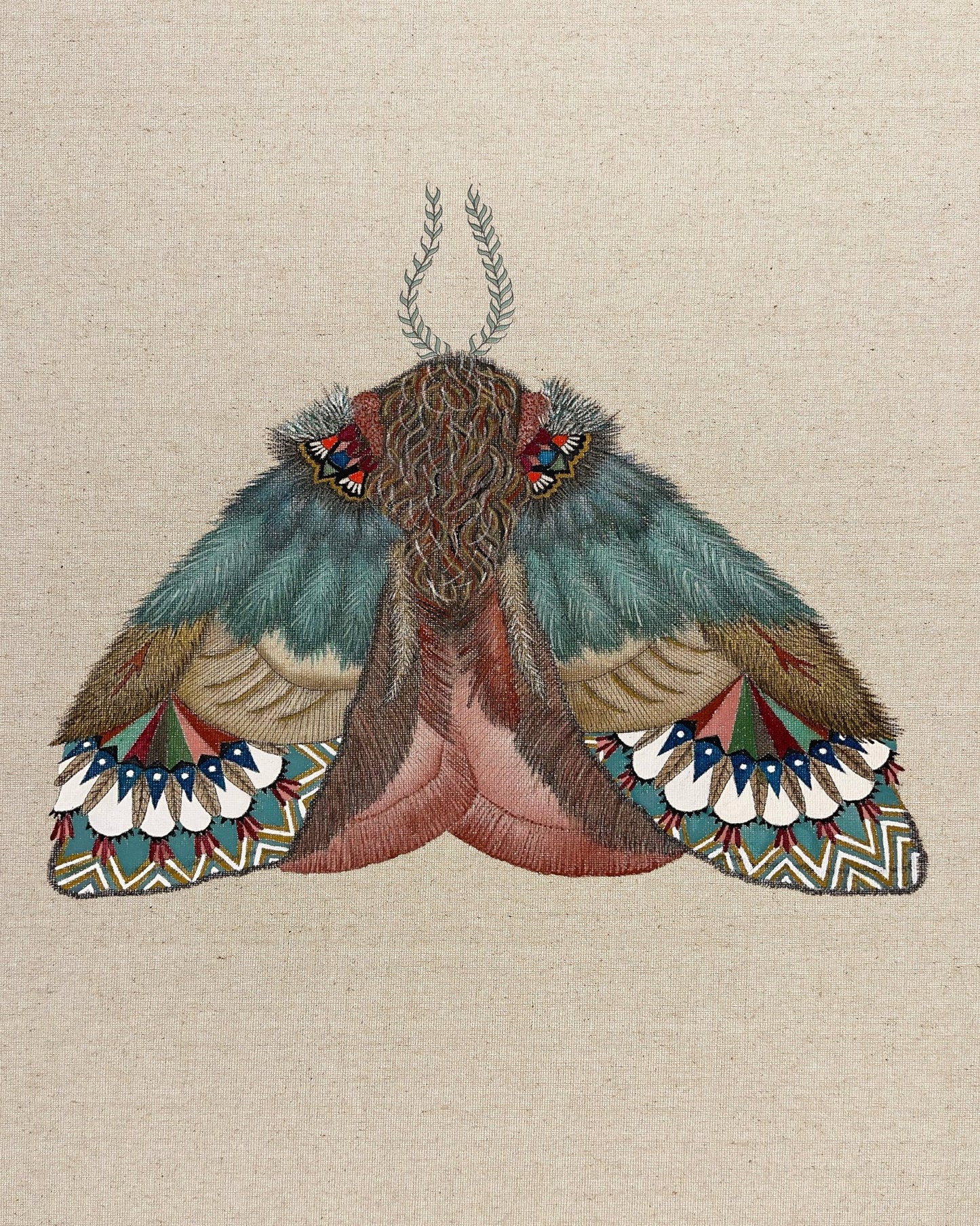 Pattern Wing Moth