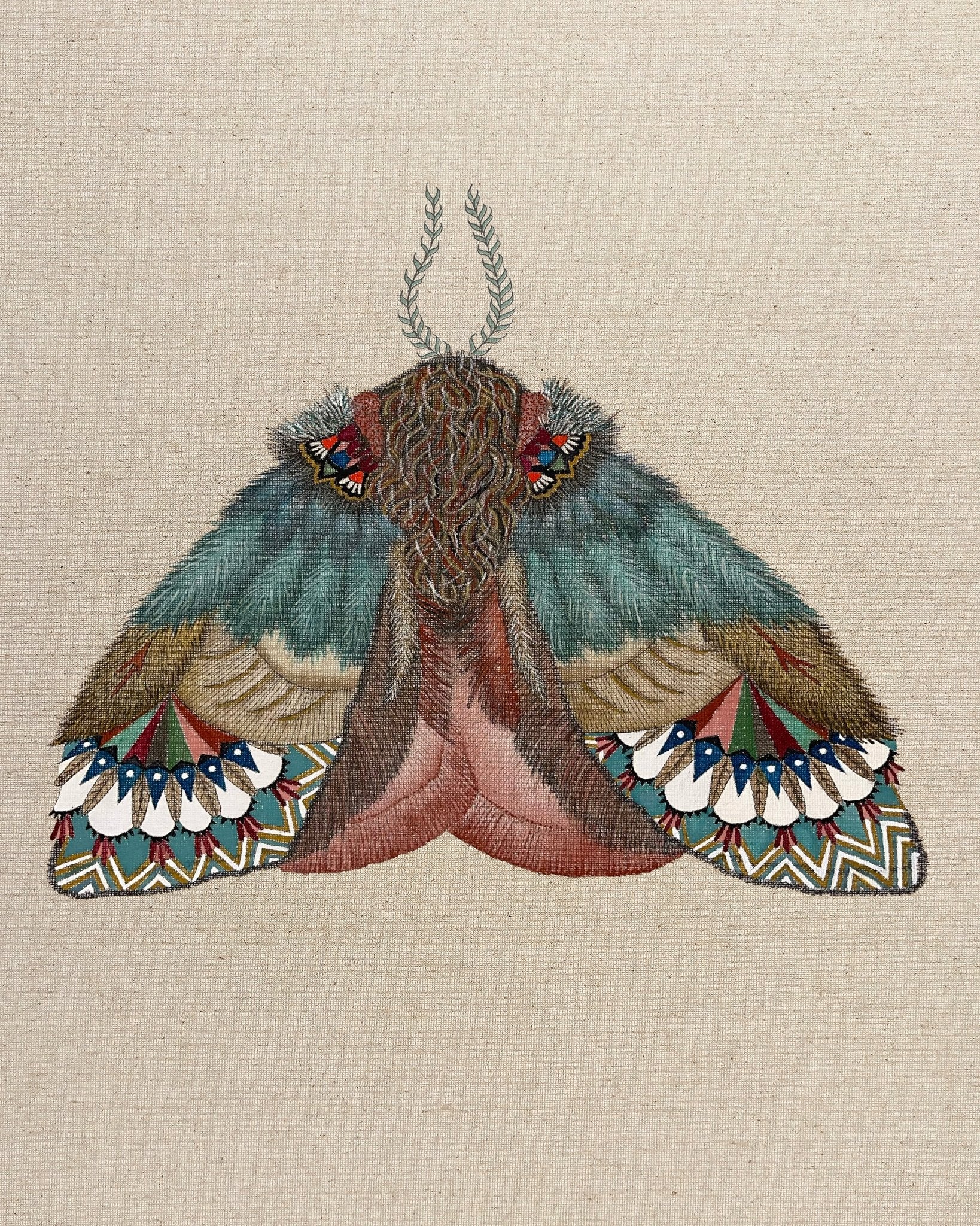 Pattern Wing Moth