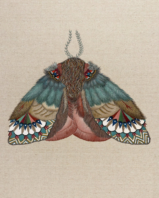 Pattern Wing Moth