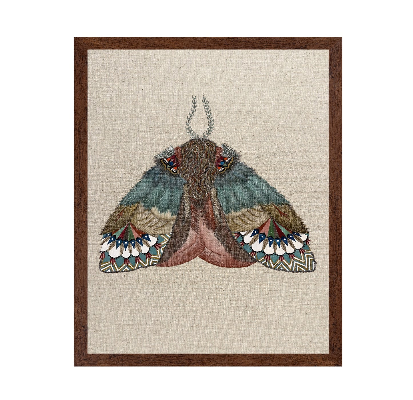 Pattern Wing Moth