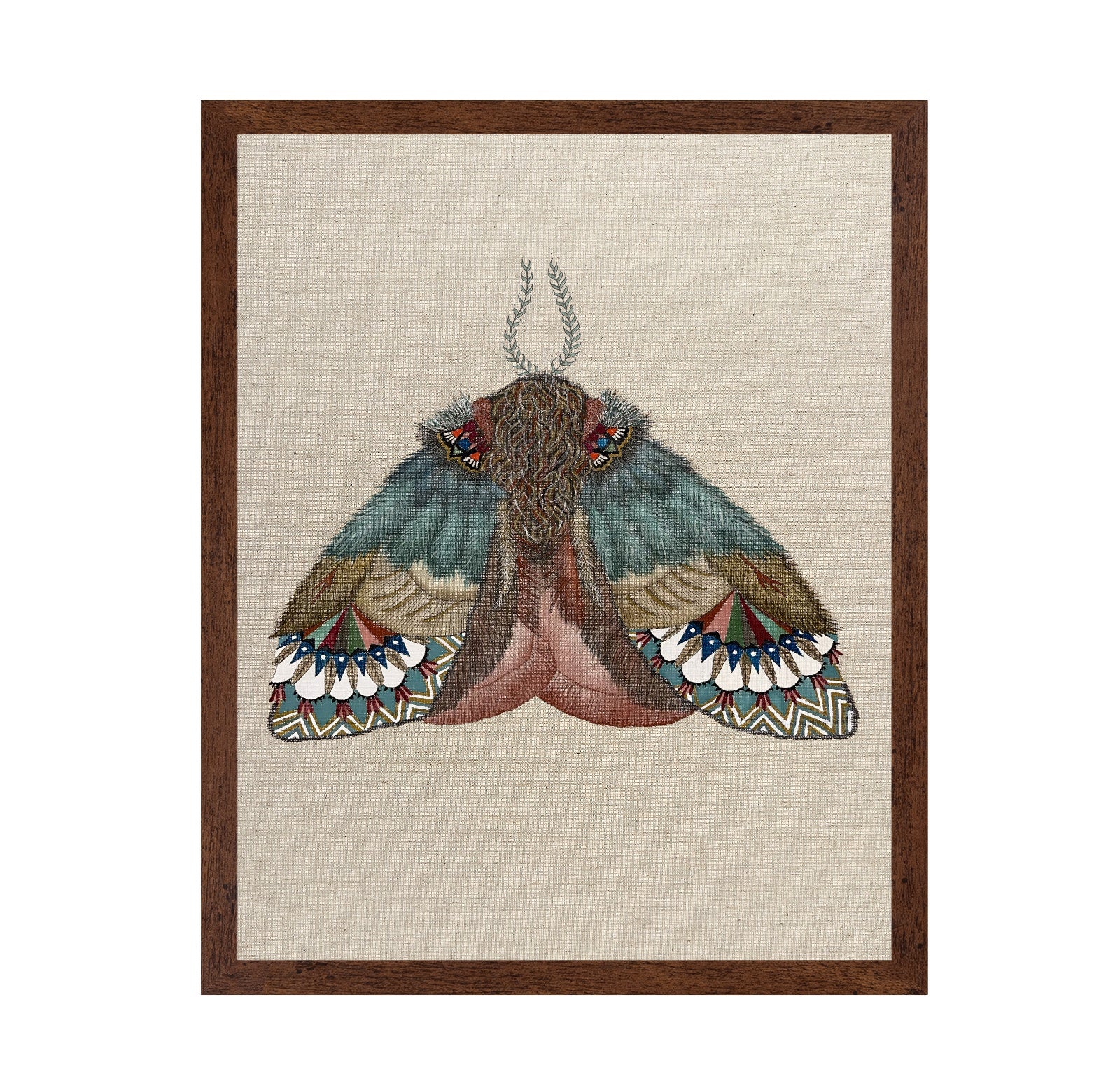 Pattern Wing Moth