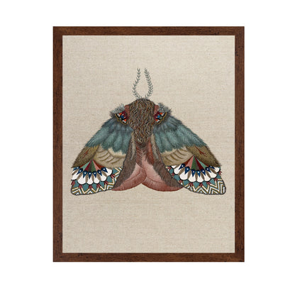 Pattern Wing Moth