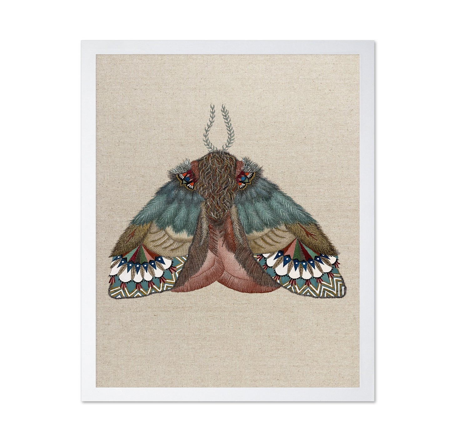Pattern Wing Moth