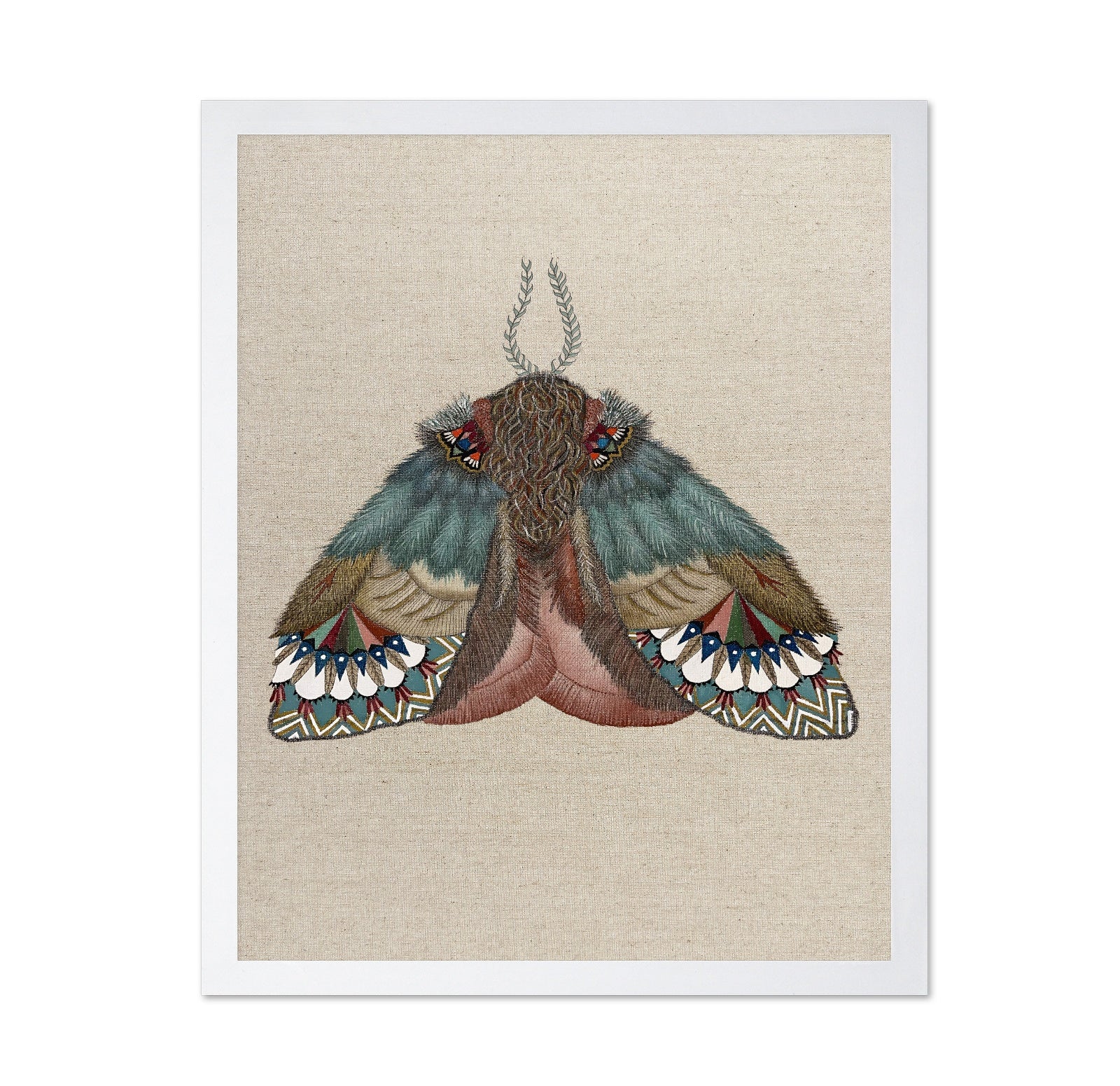 Pattern Wing Moth