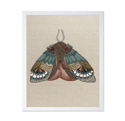 Pattern Wing Moth