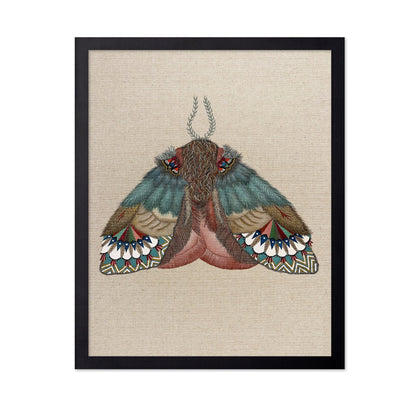 Pattern Wing Moth