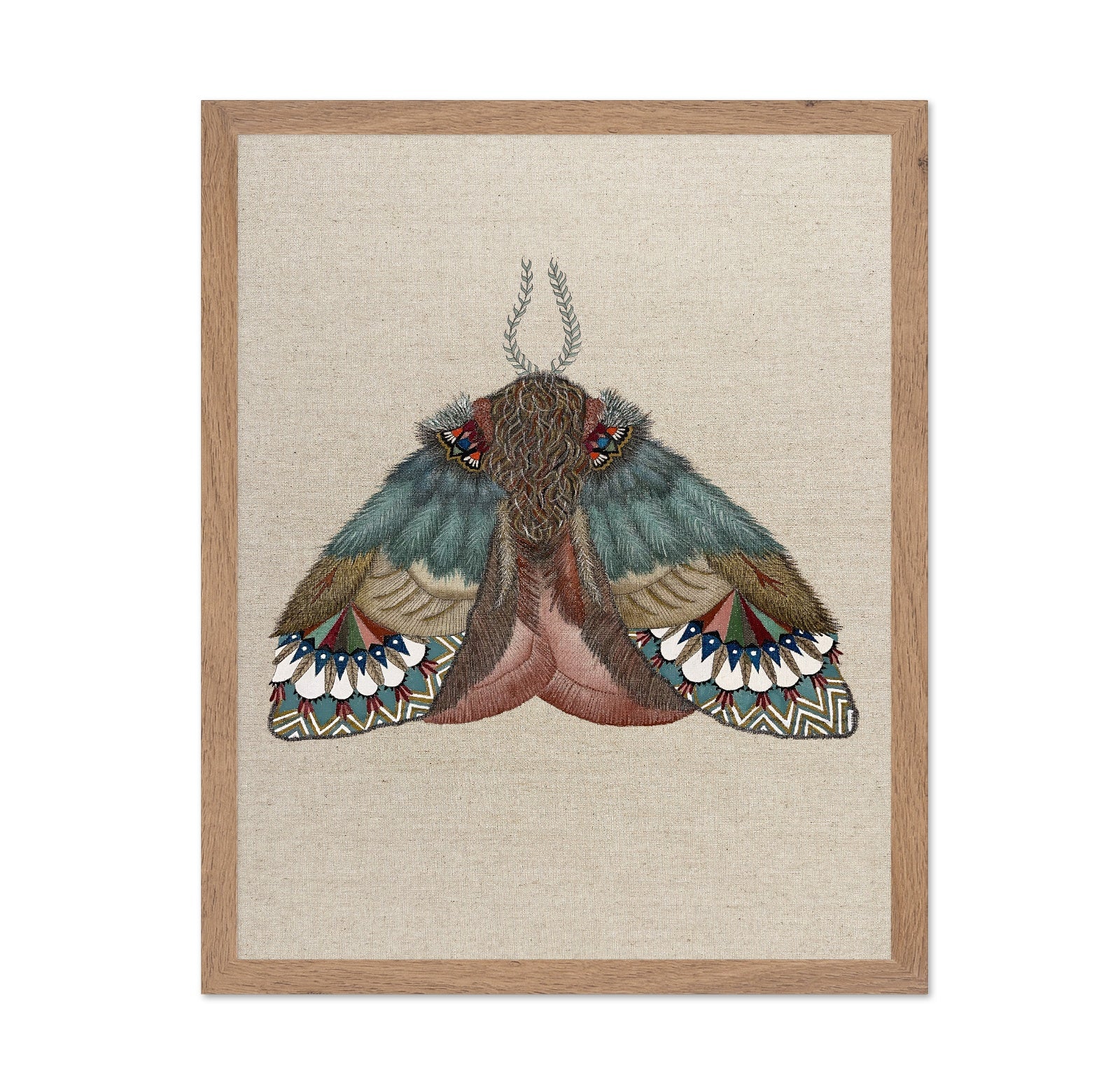 Pattern Wing Moth