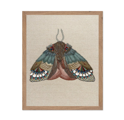 Pattern Wing Moth