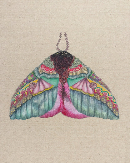 Floral Wing Moth