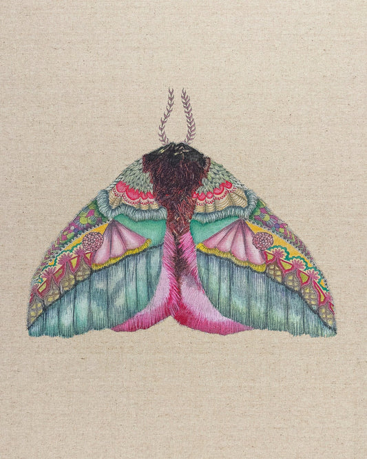 Floral Wing Moth