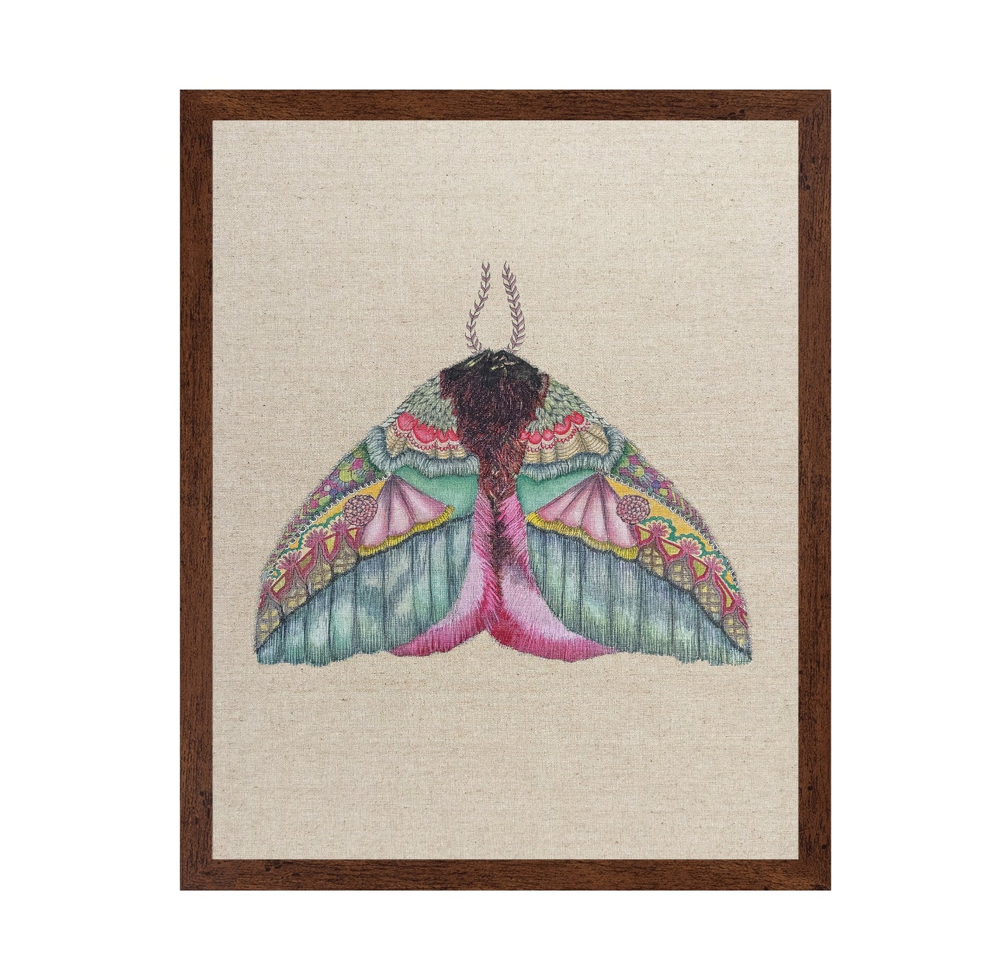 Floral Wing Moth