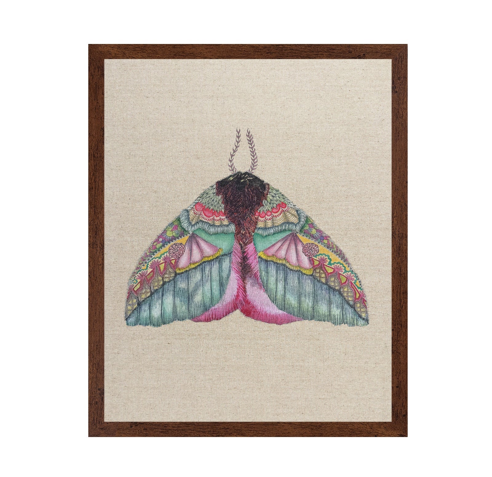 Floral Wing Moth