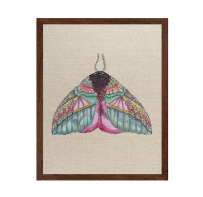 Floral Wing Moth