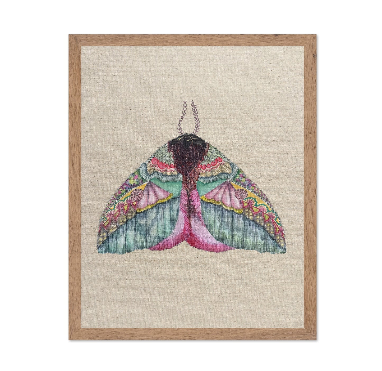 Floral Wing Moth