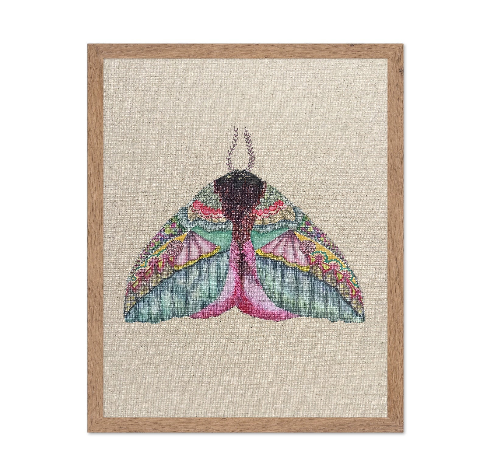 Floral Wing Moth