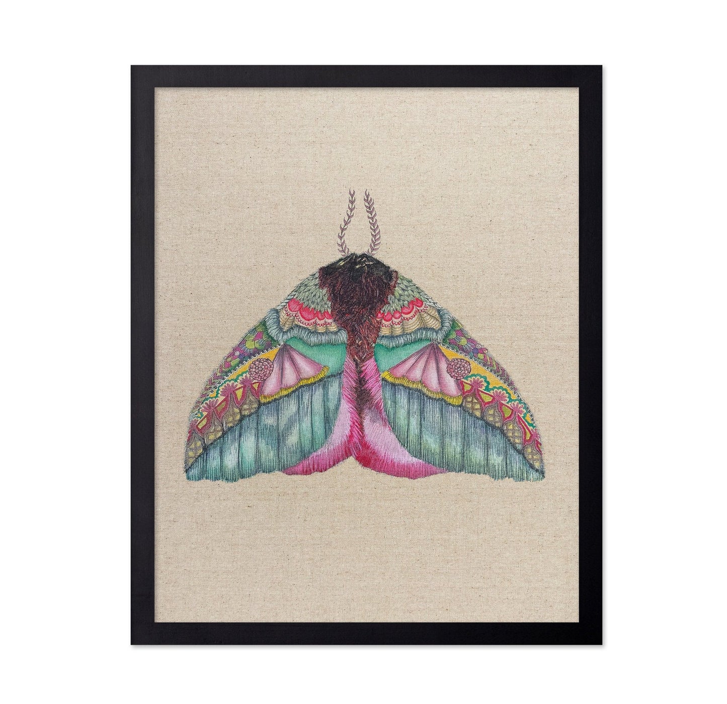 Floral Wing Moth