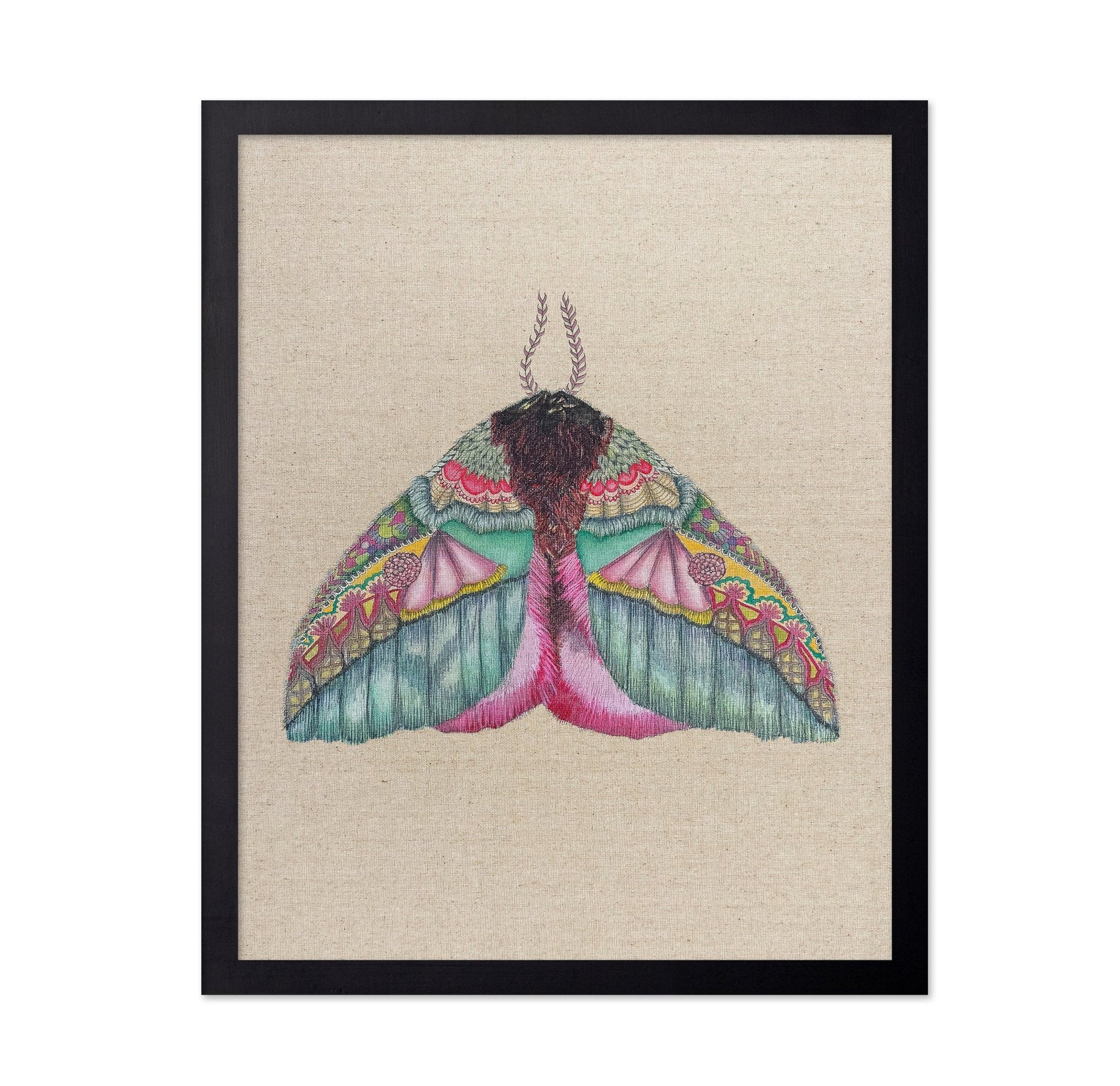 Floral Wing Moth