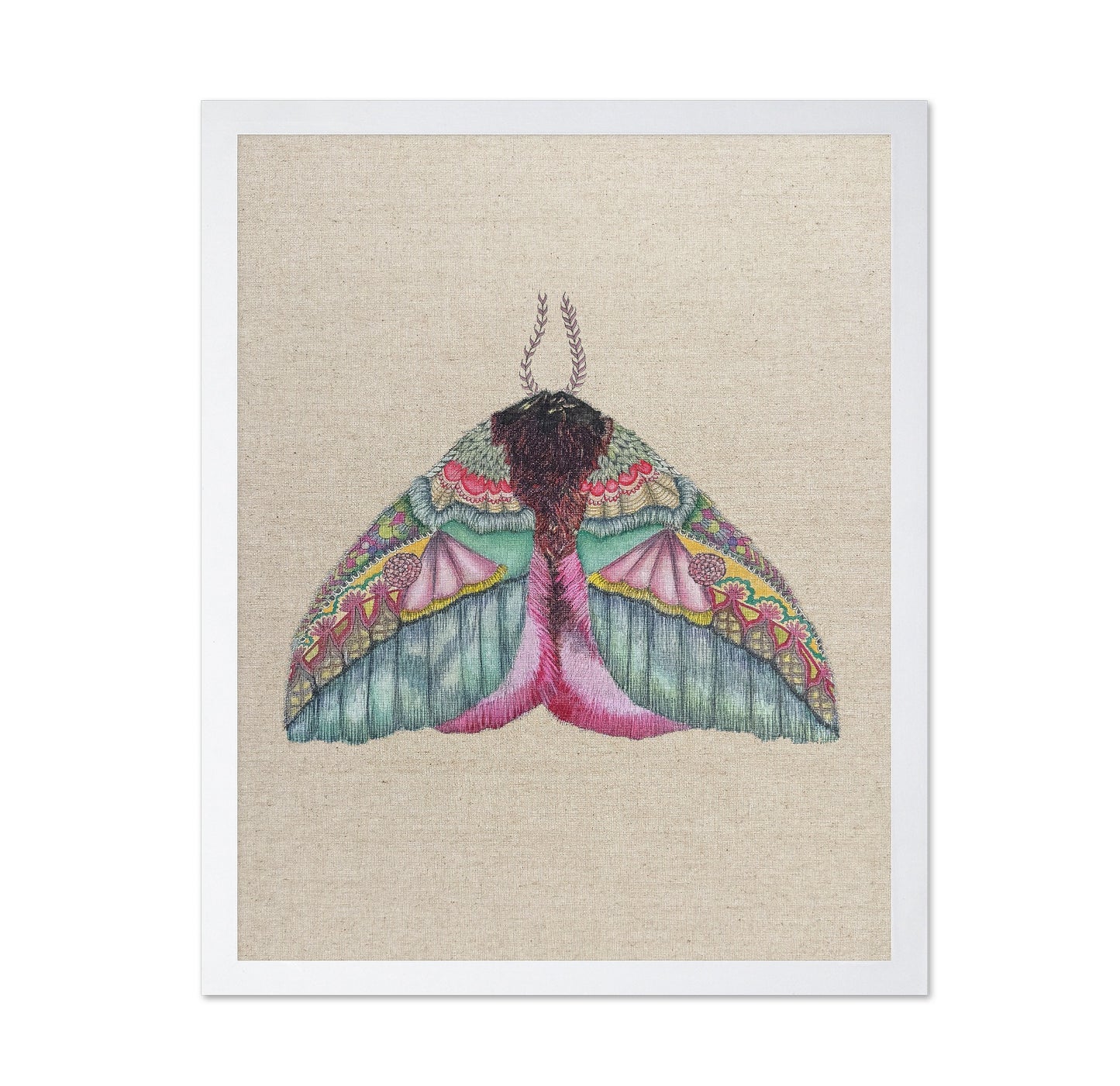 Floral Wing Moth