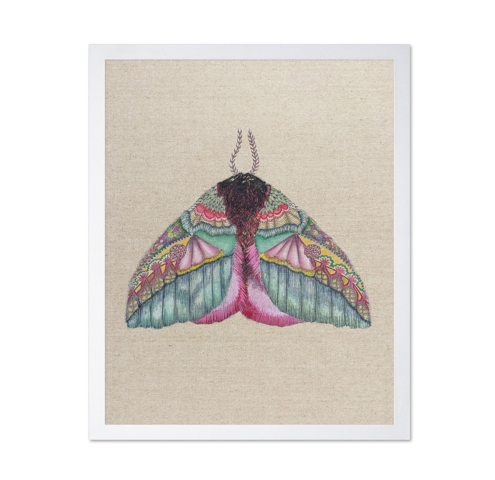 Floral Wing Moth