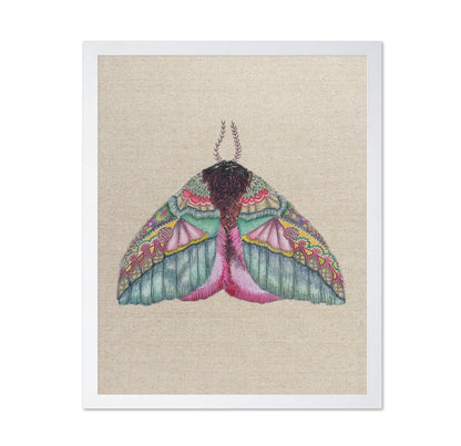 Floral Wing Moth