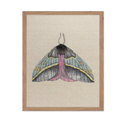 Pastel Wing Moth