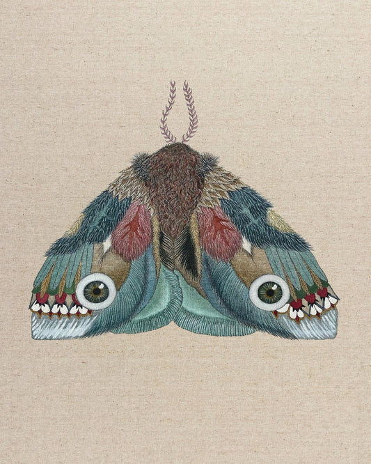 Eye Wing Moth