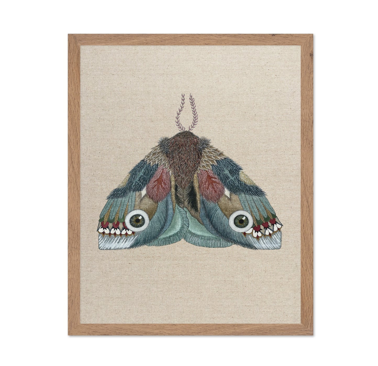 Eye Wing Moth