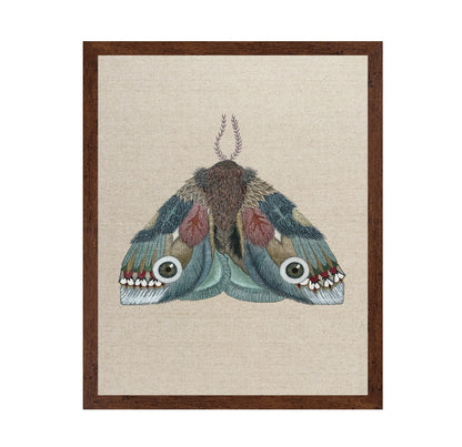 Eye Wing Moth